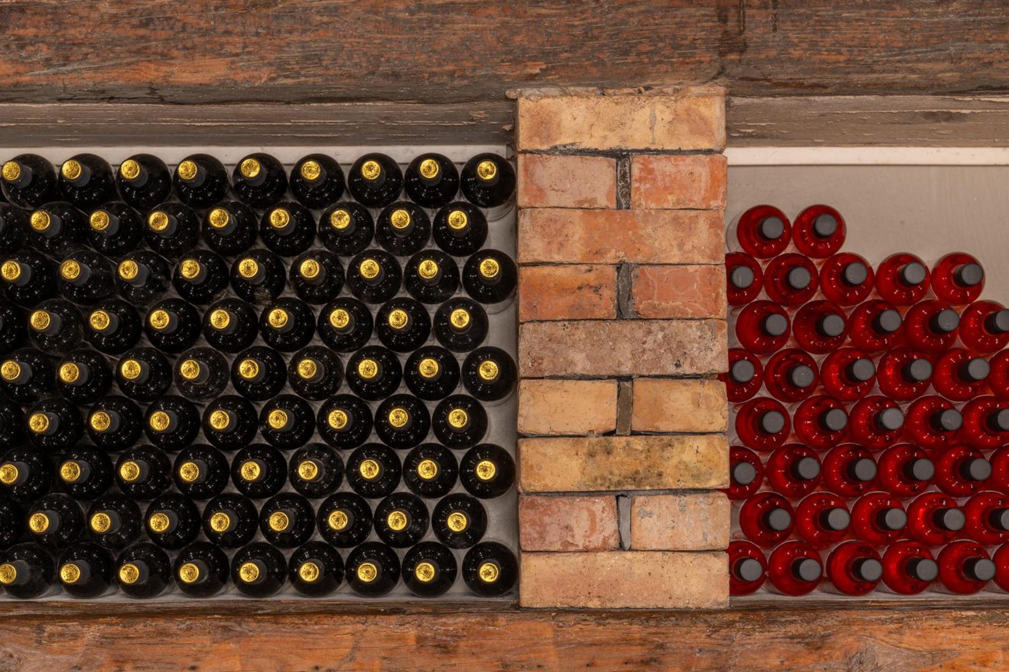 Gračišče Wine House Rakarゲストハウス エクステリア 写真